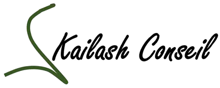 logo Kailash Conseil